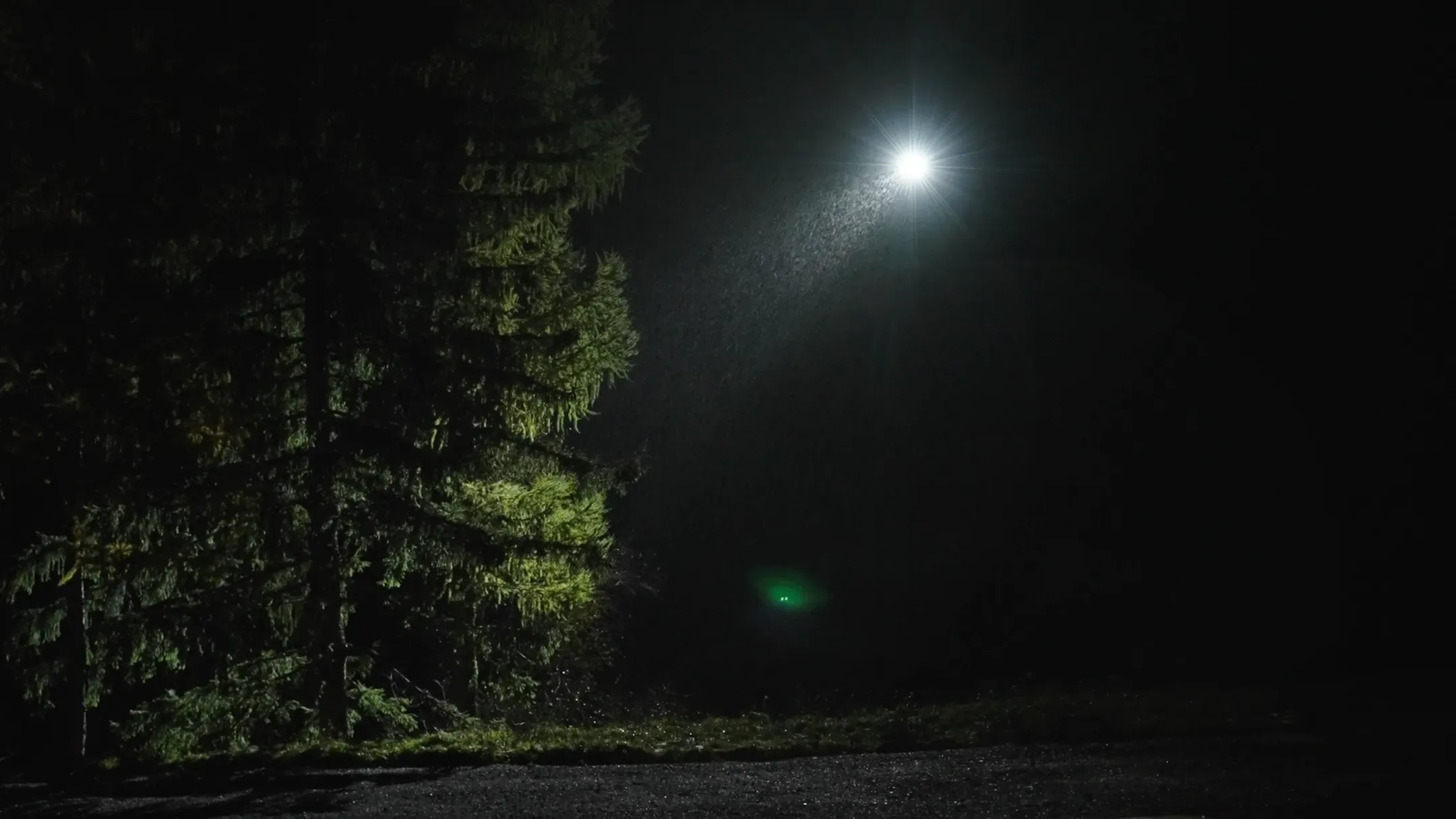 Drone équipé d'un projecteur en vol de nuit au-dessus d'une forêt